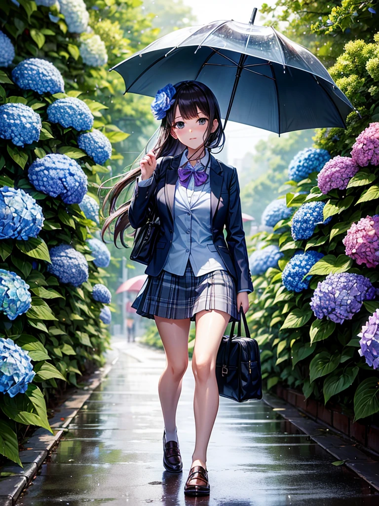 Highest quality,Highest Resolution,rainy season,A road lined with hydrangeas,High school girl walking with an umbrella,