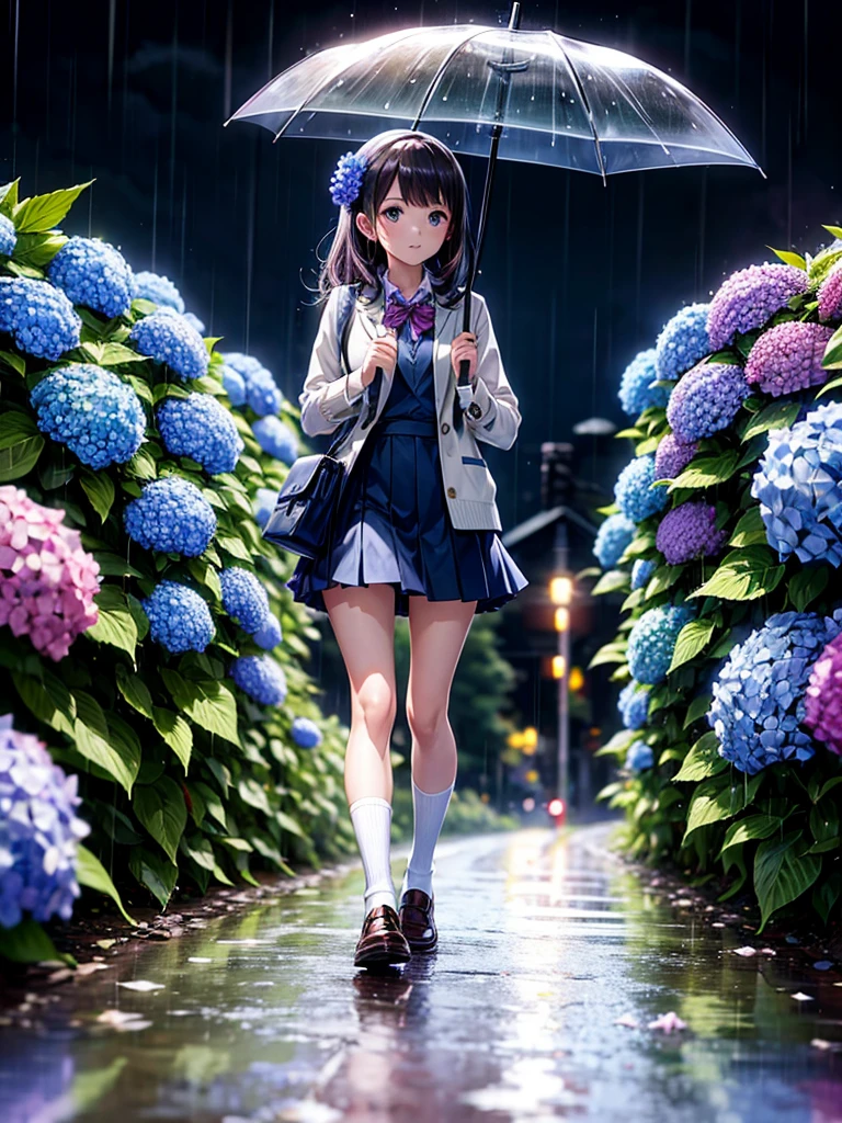 Highest quality,Highest Resolution,rainy season,A road lined with hydrangeas,High school girl walking with an umbrella,