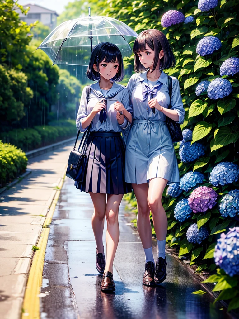 Highest quality,Highest Resolution,rainy season,A road lined with hydrangeas,High school girl walking with an umbrella,