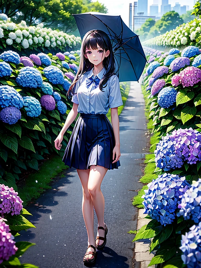 Highest quality,Highest Resolution,rainy season,A road lined with hydrangeas,High school girl walking with an umbrella,