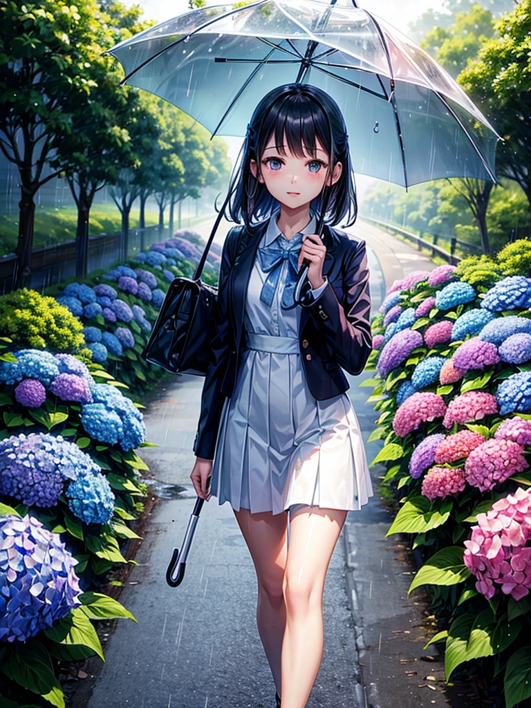 Highest quality,Highest Resolution,rainy season,A road lined with hydrangeas,High school girl walking with an umbrella,