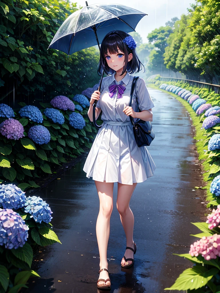 Highest quality,Highest Resolution,rainy season,A road lined with hydrangeas,High school girl walking with an umbrella,