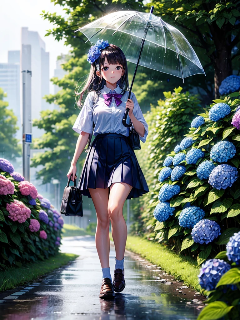 Highest quality,Highest Resolution,rainy season,A road lined with hydrangeas,High school girl walking with an umbrella,