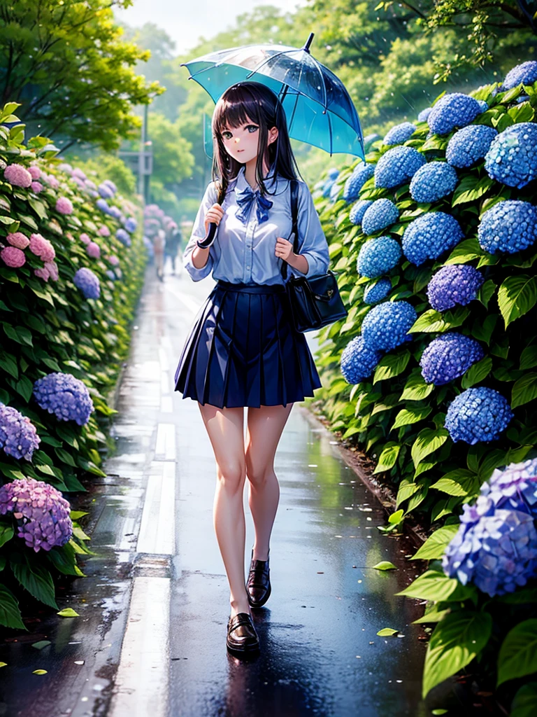 Highest quality,Highest Resolution,rainy season,A road lined with hydrangeas,High school girl walking with an umbrella,