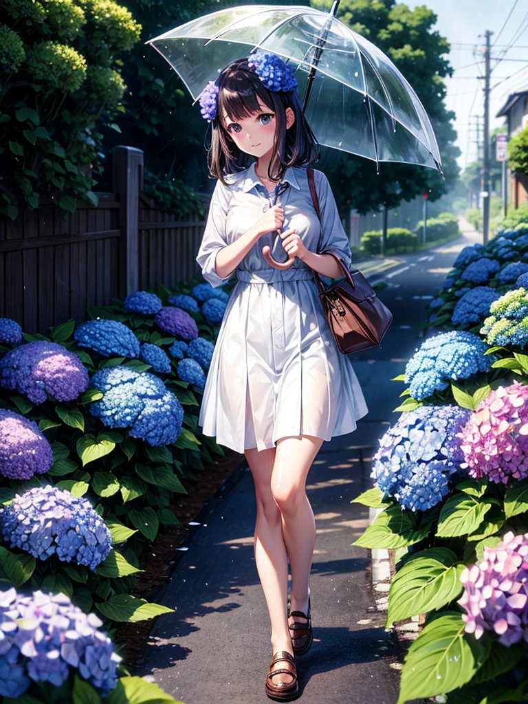 Highest quality,Highest Resolution,rainy season,A road lined with hydrangeas,High school girl walking with an umbrella,