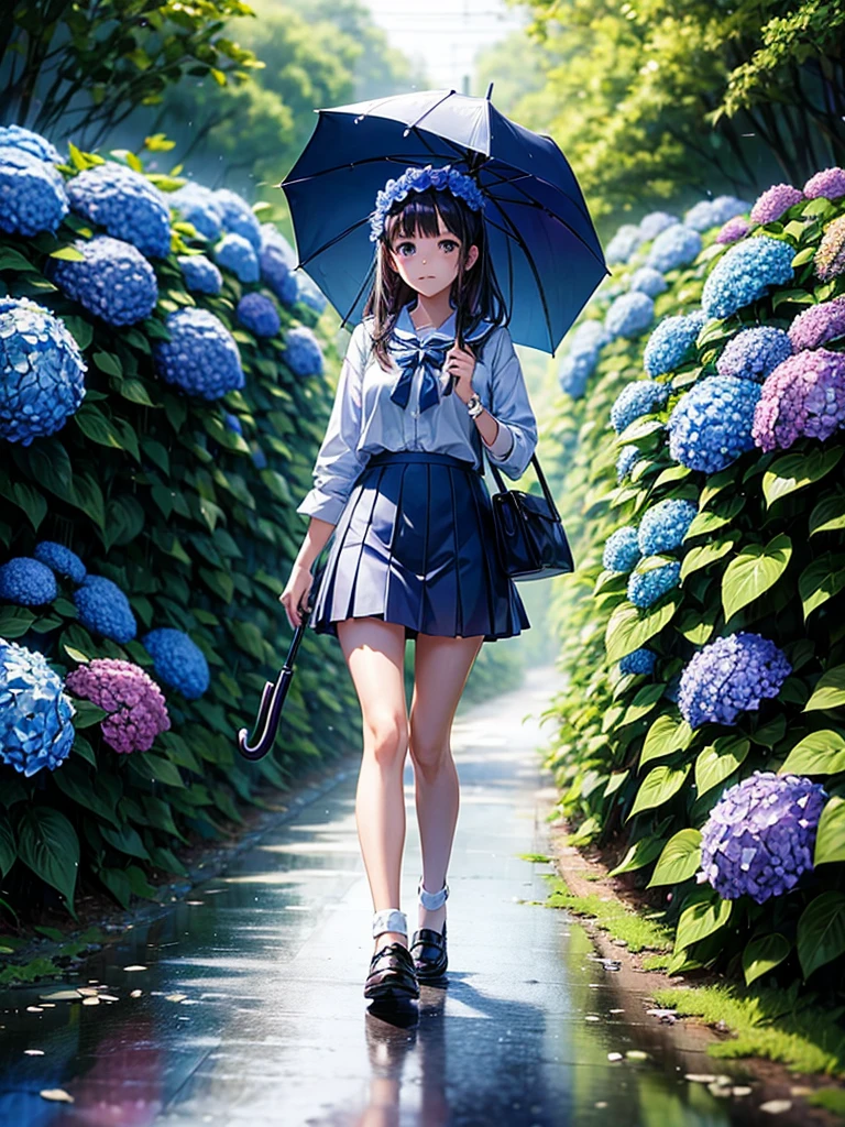 Highest quality,Highest Resolution,rainy season,A road lined with hydrangeas,High school girl walking with an umbrella,