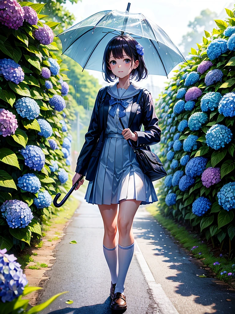Highest quality,Highest Resolution,rainy season,A road lined with hydrangeas,High school girl walking with an umbrella,