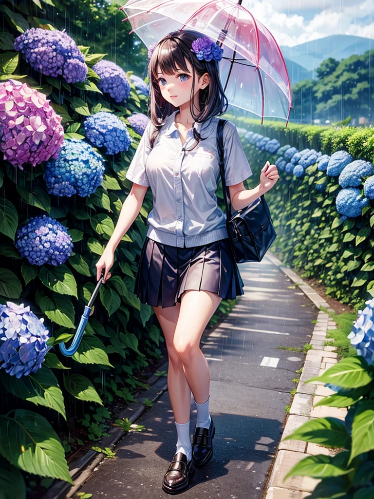 Highest quality,Highest Resolution,rainy season,A road lined with hydrangeas,High school girl walking with an umbrella,