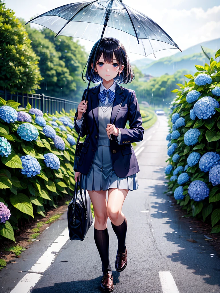 Highest quality,Highest Resolution,rainy season,A road lined with hydrangeas,High school girl walking with an umbrella,