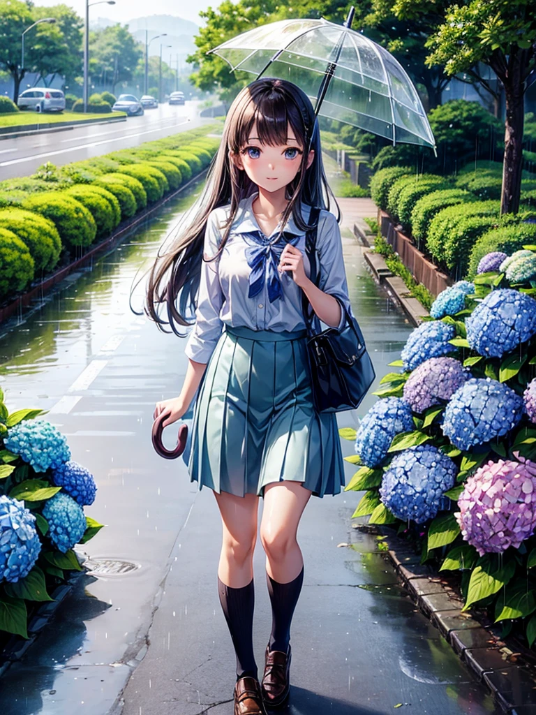 Highest quality,Highest Resolution,rainy season,A road lined with hydrangeas,High school girl walking with an umbrella,
