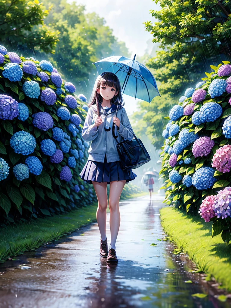 Highest quality,Highest Resolution,rainy season,A road lined with hydrangeas,High school girl walking with an umbrella,