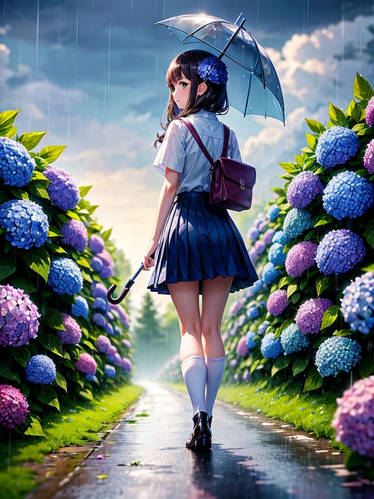Highest quality,Highest Resolution,rainy season,A road lined with hydrangeas,High school girl walking with an umbrella,