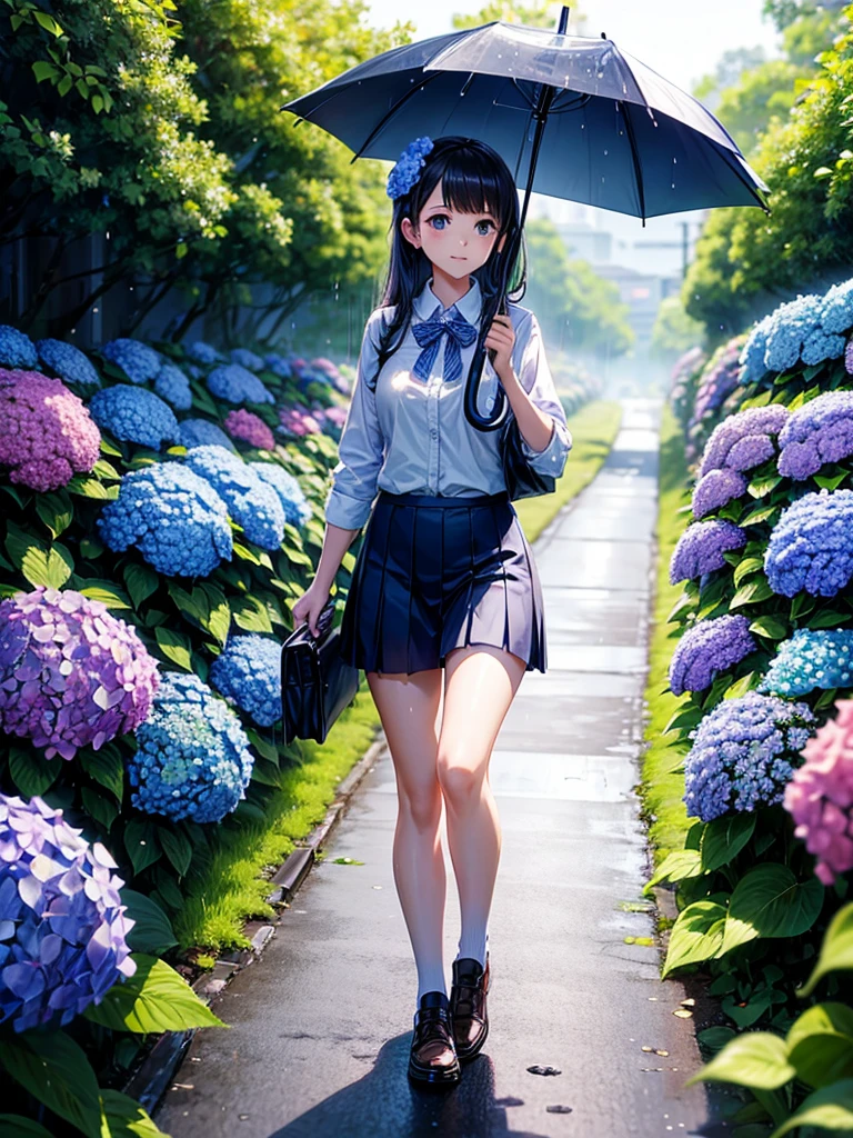 Highest quality,Highest Resolution,rainy season,A road lined with hydrangeas,High school girl walking with an umbrella,
