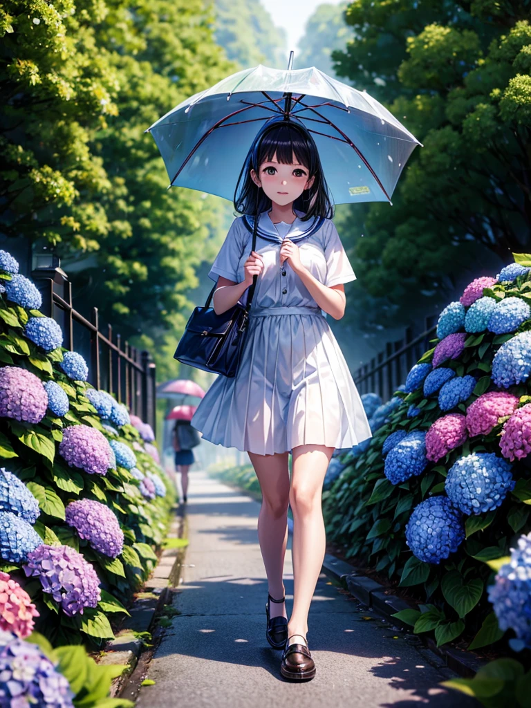 Highest quality,Highest Resolution,rainy season,A road lined with hydrangeas,High school girl walking with an umbrella,