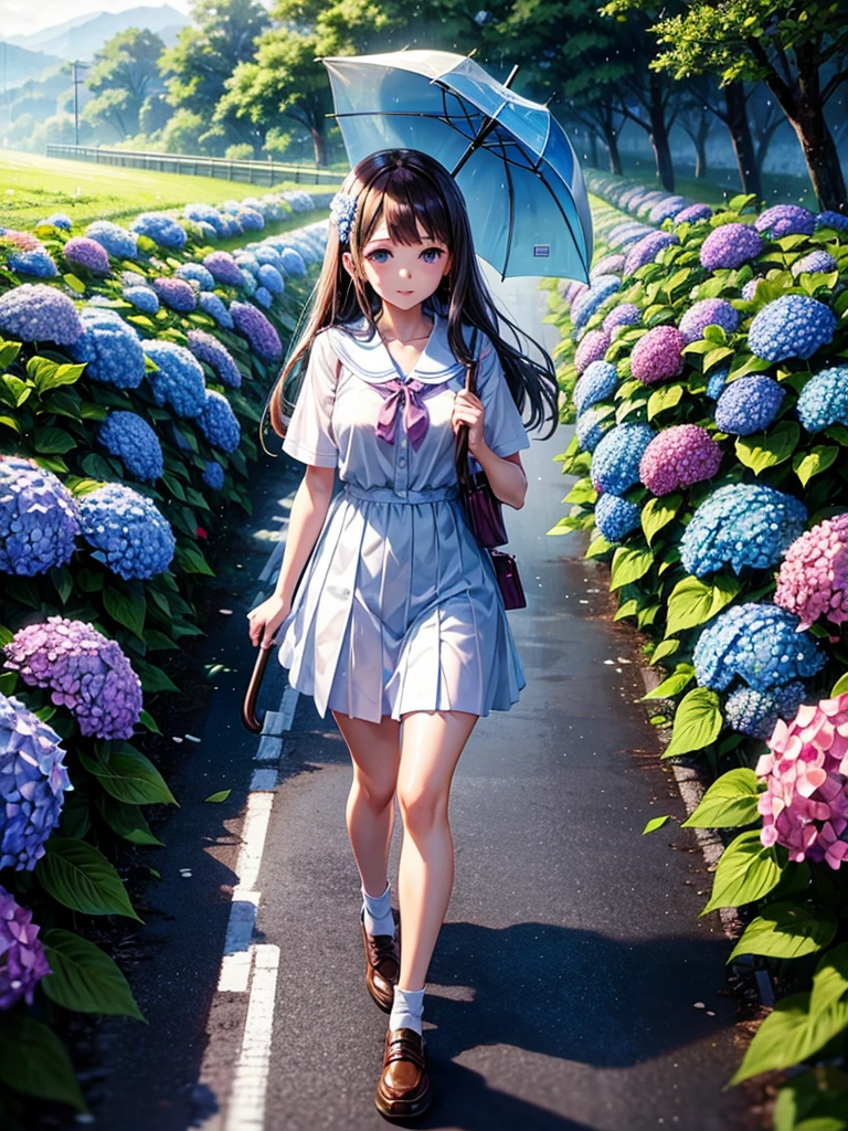 Highest quality,Highest Resolution,rainy season,A road lined with hydrangeas,High school girl walking with an umbrella,