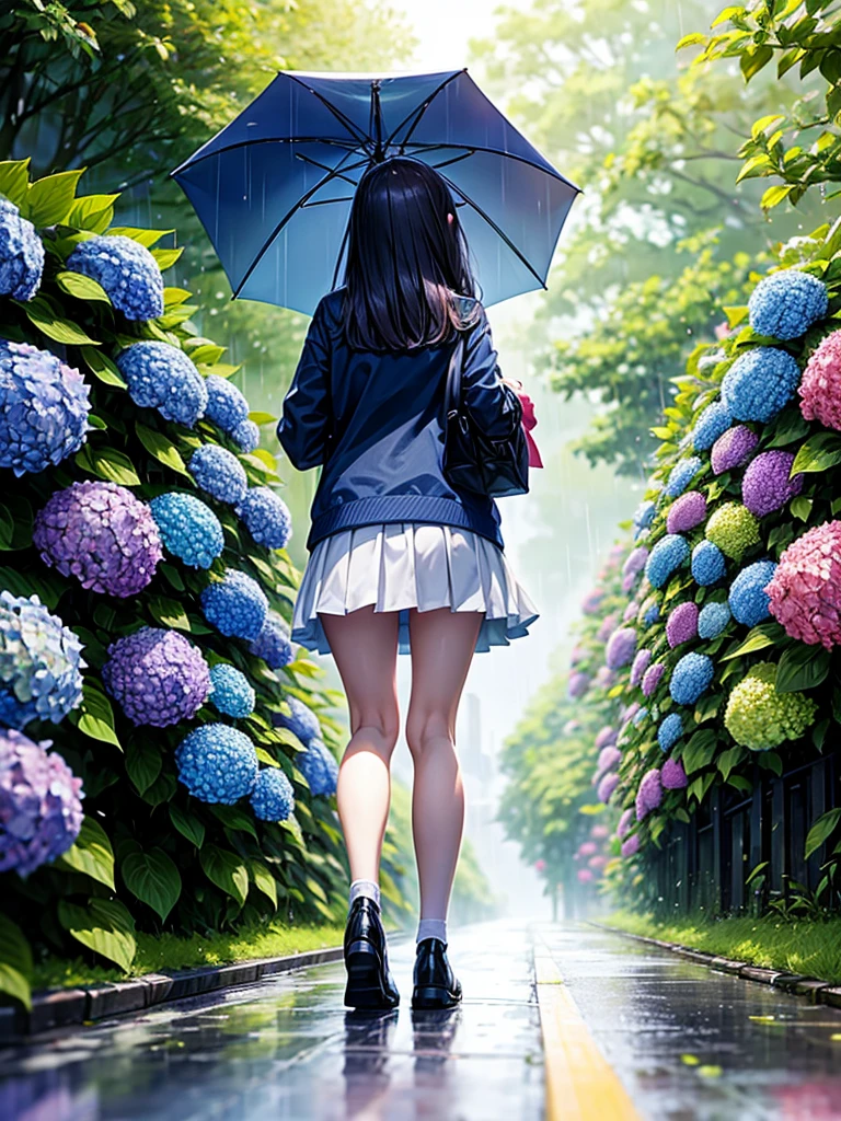Highest quality,Highest Resolution,rainy season,A road lined with hydrangeas,High school girl walking with an umbrella,