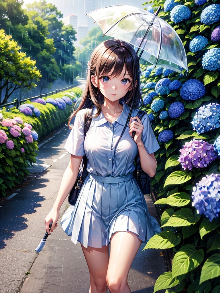 Highest quality,Highest Resolution,rainy season,A road lined with hydrangeas,High school girl walking with an umbrella,