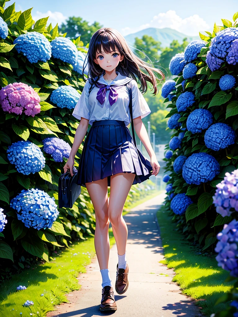 Highest quality,Highest Resolution,A high school girl walking down a road lined with hydrangeas on both sides,