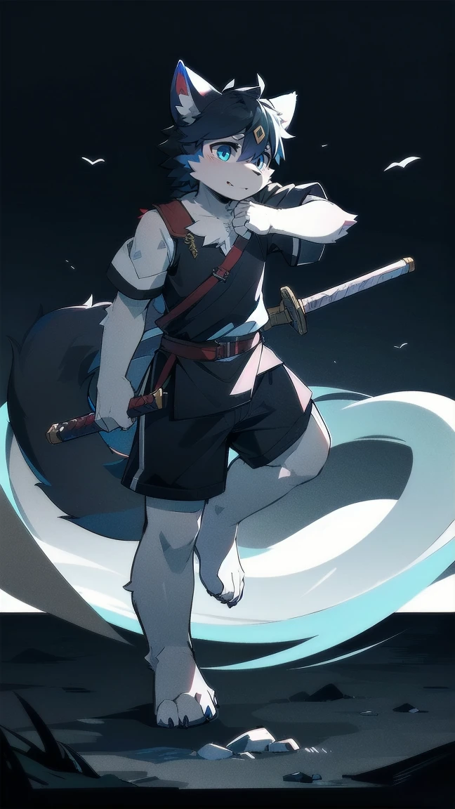 White Wolf,black hair,Sky blue eyes,hairy,Wolf ears,Wolf tail,Full body portrait,The character is in the center of the frame,Handsome,Confident eyes,male,juvenile,Black and white combat uniform,Red neck bib,Black shorts,Short sleeve,hairy arms and legs,Dark background,Dark battlefield,dawn,sunrise,dawn,illumination,shadow,Swordsman,Scabbard and sword,Hold the hilt of a sword in your hand,The scabbard is at the waist,Highest quality