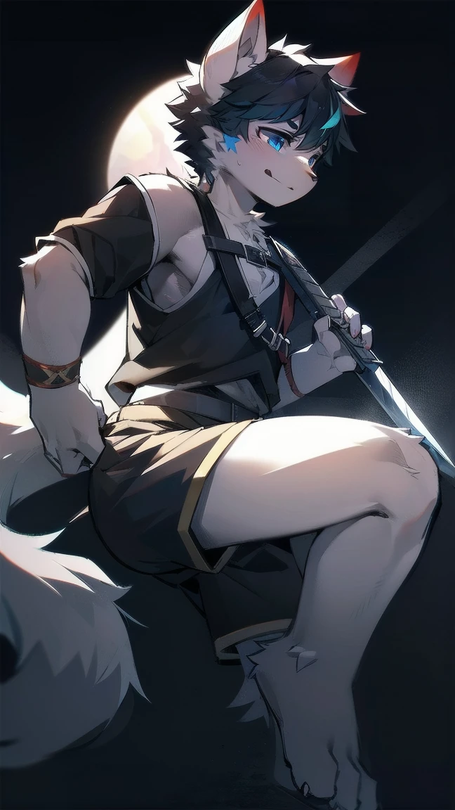 White Wolf,black hair,Sky blue eyes,hairy,Wolf ears,Wolf tail,Full body portrait,The character is in the center of the frame,Handsome,Confident eyes,male,juvenile,Black and white combat uniform,Red neck bib,Black shorts,Short sleeve,hairy arms and legs,Dark background,Dark battlefield,dawn,sunrise,dawn,illumination,shadow,Swordsman,Scabbard and sword,Hold the hilt of a sword in your hand,The scabbard is at the waist,Highest quality