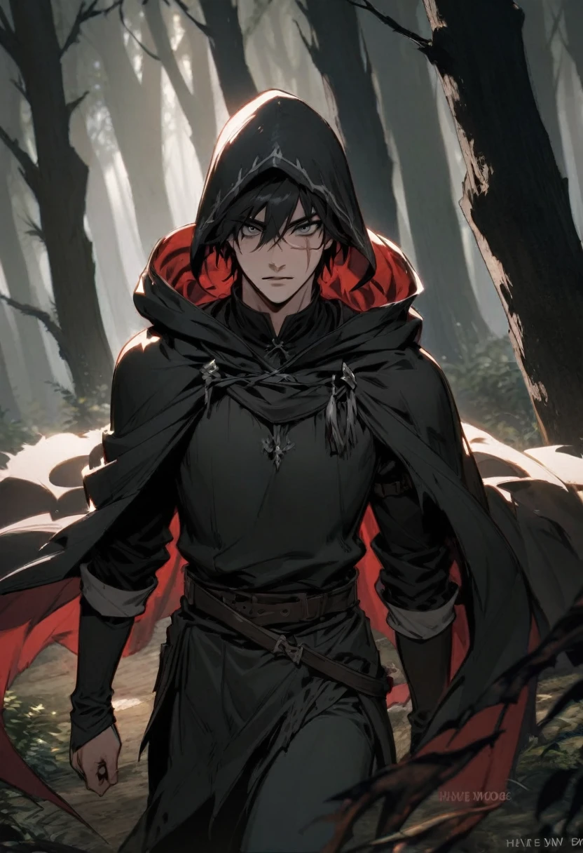 young man ,Male Dark, dark Woods,Red & Black colors, gray eye, rogue dnd, wear cape, hood, have scar