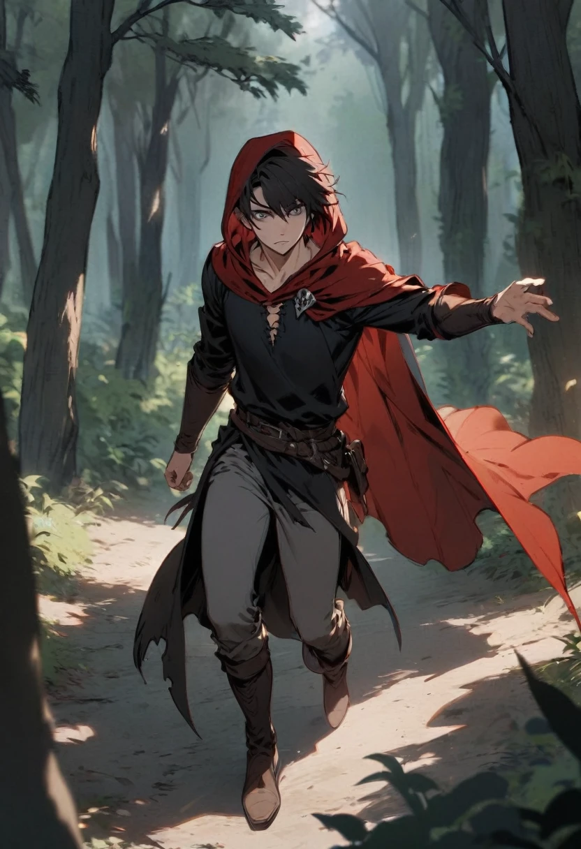 young man ,Male Dark, dark Woods,Red & Black colors, gray eye, rogue dnd, wear cape, hood, have scar