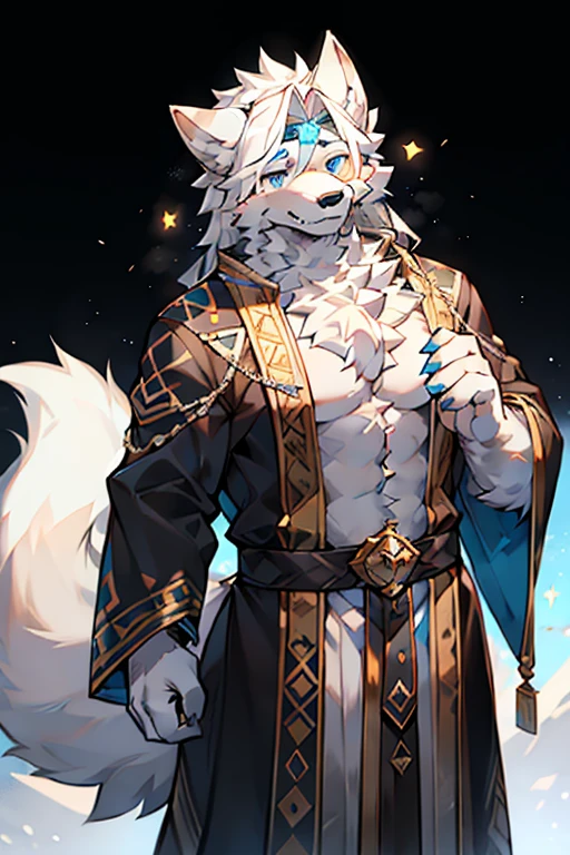only,Hairy Male,Hairy chest,Wolf,Canines,silver white fur,Long white hair,The ends of the hair are silver,Bright blue eyes,charming,Handsome,Big Tail,Full body male love,Star magic,masterpiece,detailed,There is a star texture on the forehead,Robes
