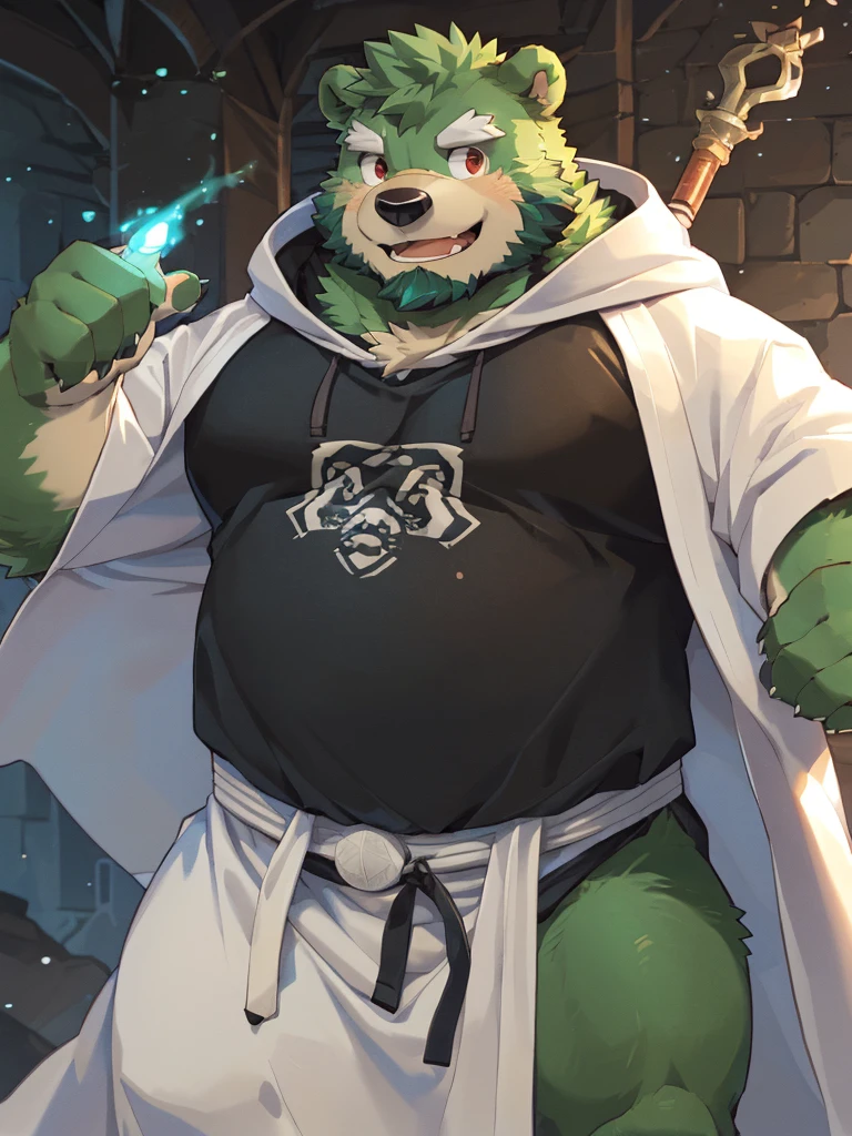 anthro, kemono, male, solo, ((round face, very plump face, thick beard)), (((dark beard))), ((endomorph body type, old-aged)), ((green bear, bear) fluffy fur, fluffy), (at old ruin, dungeons), bokeh, (high quality, highres, masterpiece), (dynamic lighting, vivid color), (generous smile), (face focus), front view (close up), cartoon, (((green bear))), (((green fur))), green hair, beard, white eyebrows, bald, detailed red eyes, tall, steel mage staff, magic, (black t-shirt inside), (((white robe coat with hood))), by zixiong, by takemoto arashi, by zixiong, (by null-ghost:0.8), (by t.y.stars:0.4),