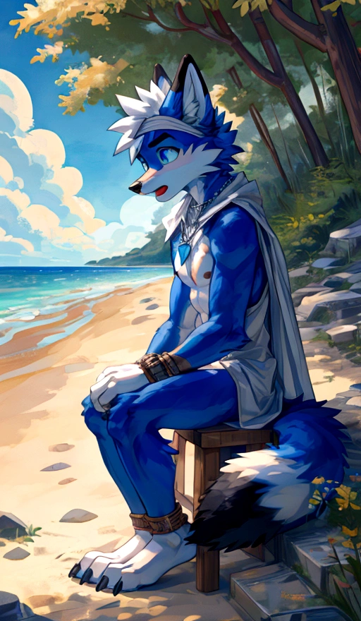 teenanger,solo,freshmen,young people,white hair, nipples，fox, blue eyes, masterpiece, bright blue fur, clean face, (blue necklace), thick eyebrows, detailed eyes, anthro, claw, (white headband),white hands,white feet,white cape，outdoor,open mouth,side view,wrist guard,seaside,white loincloth，trees,full body,sit