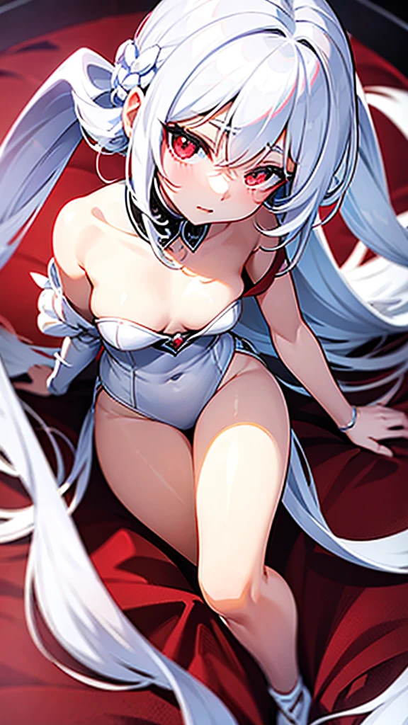 White hair，Red eyes，Royal sister，