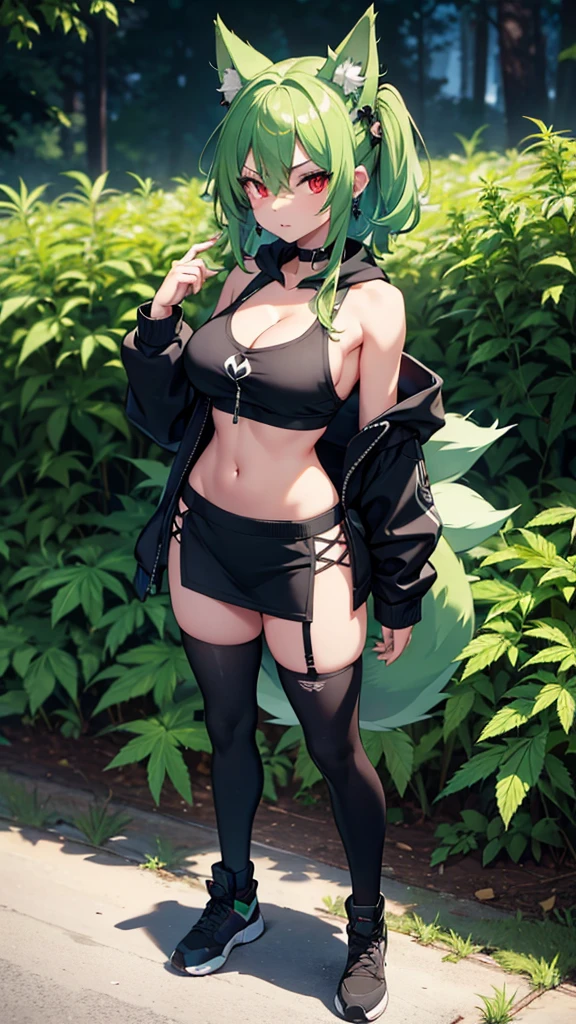 , Croped, , cleavage, slim waist, cropped hoodie underboob, cropped hoodieunderboobhoodie, 1girl, 2 wolf ears, wolf tail, marijuana crop hoodie, crop shorts, marijuana hoodie, spiky hair, spiky fur, green hair, red eyes,marijuana field, tight clothes, perfect eyes, perfect hands, clear resolution, full body, cleavage skin, marijuana plants, open hoodie, marijuana scenery, black thigh high socks, full body, earrings, 1girl, skirt, cleavage, slim waist, cleavage, slim waist, hair pulled back,