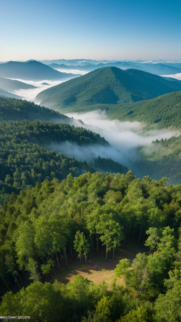 Photo-realistic landscapes,aerial photograph,Foggy forest,Bent Tree,32k