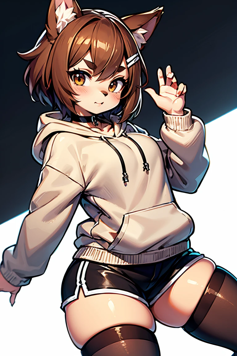 mimi, dog girl, latte color fur, short hair, choker, black sweatshirt, dolphin_shorts, hoodie, hood, thighhighs, hood down, choker, 1girl, black choker, solo, shorts, brown hair, black hoodie, thick thighs, drawstring, brown eyes, black legwear, simple background, white background, black shorts, animal ears, short shorts, hooded jacket, hair ornament, thighs, thick eyebrows, medium hair, cowboy shot, dog ears, brown hoodie, light brown short, latte skin color, dynamic pose, dynamic angle
