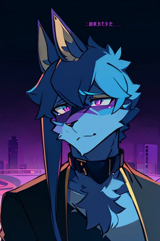 hairy，fox，Lovely，It is modern，Handsome blue and purple art word background，context-oriented，Anubis，Beast pupils