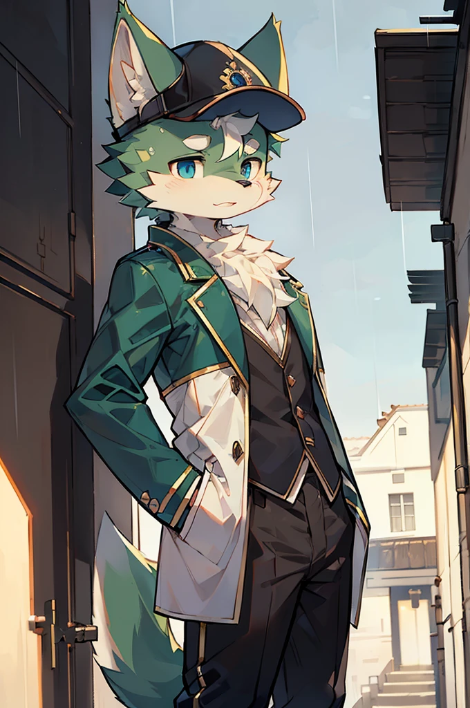 Exquisite lines,best quality。young,male,Light green fur,Wolf Orc,Higher,Black long coat,Black trousers,Blue pupils,Background City,Standing on the roof,night,rain