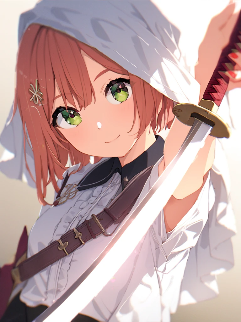 (Awareness-raising:1.1)、(Highest quality)、(masterpiece:1.1)、(Beautiful and clear background:1.25)、(masterpiece、Highest quality、Ultra-detailed)、(Photorealistic)、(Beautiful and fine details)、 stage、、solo、 holding sword、Cowboy Shot、Upper Body、 ayumu uehara、A light smile、Depth of written boundary、 unsheathed sword、various angles
bleached cloth