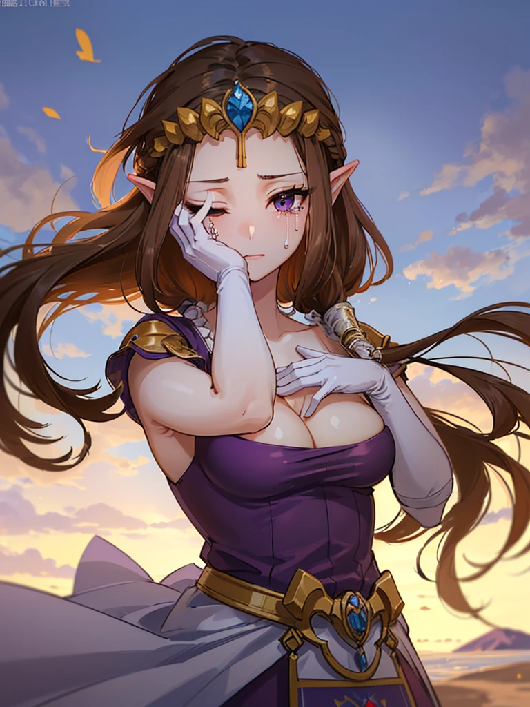 ((((Very beautiful mature woman)))),((())))),((Expressionless)),((()))),((((One woman is shown)))),()),(((Beautiful back))), ((((back shot)))),((Very beautiful jewel-like eyes)),,(((非常にBeautiful Face)))),Anime art style,masterpiece,(Highest quality), (超detailedな顔),(Very delicate and beautiful),((((My hair is blowing in the wind)))),,(A truly gorgeous jeweled ruffled rococo ball gown dress),(((((Mature Woman,Queen))))),((topless)),((crinoline)),,((Long Straight Hair)),,Cleavage,(Outdoor),length_gloves,Very gorgeous hair accessory,()))),()),()))),(((No background)))),((((Beautiful Face)))),(((()))),()),(((Long Hair)))),((((Straight hair)))),((Cleavage)),((((Dark brown hair)))),Princess Zelda,(()), ((Highest quality)),,(非常にdetailed) ,((((Purple blouse)))),,Brown Hair,((()))), (非常にdetailed),((detailed)),((())),Nintendo, The Legend of Zelda),((alone)), ((Highest quality)), (非常にdetailed), ,