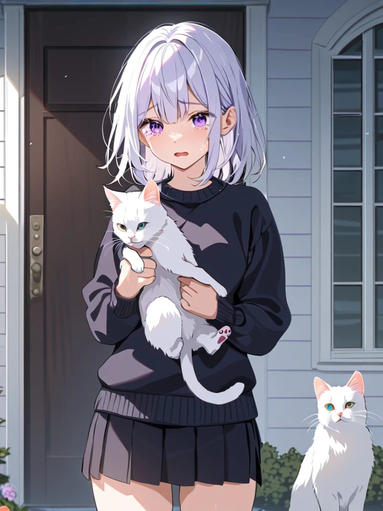Crying, standing in front of the house, white hair, purple eyes, black sweater, black mini skirt, white cat