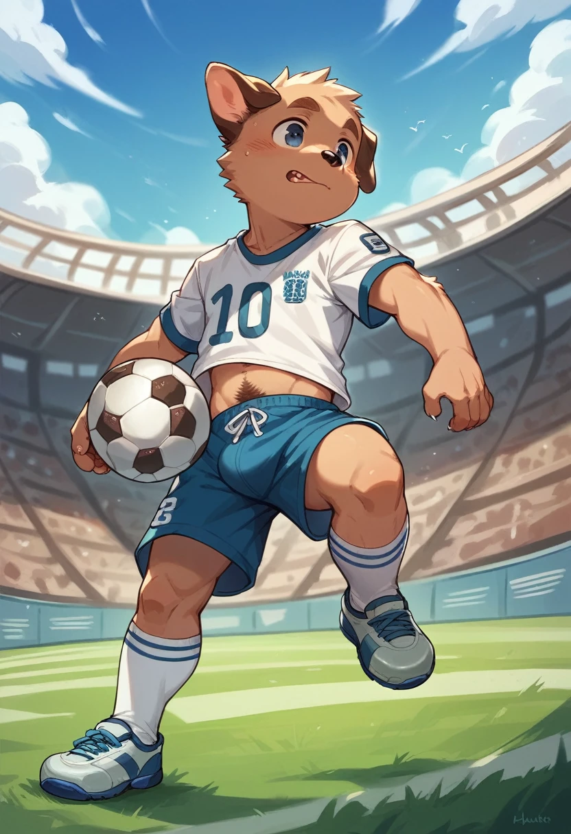 Football Socks，shorts，toe，No clothes on，Showing a little muscle，football field，White socks，dog，fur，exhibit，Shota，hairy