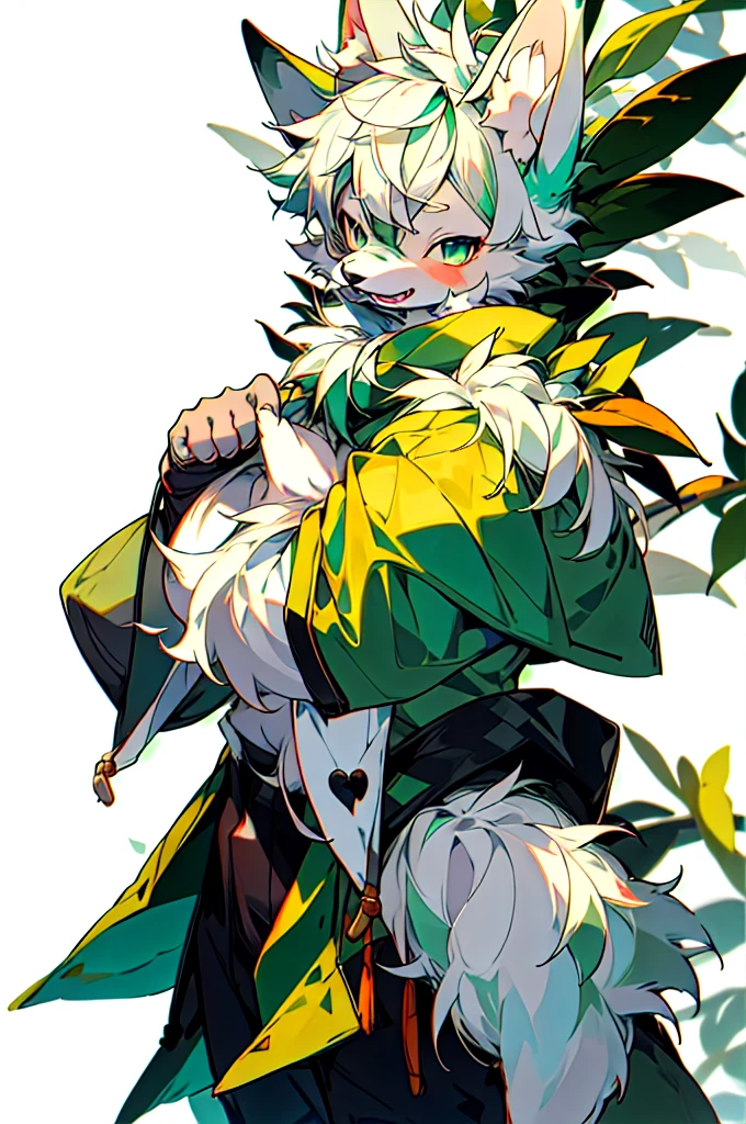 Cute dog with green fur、Shy boy with white hair 