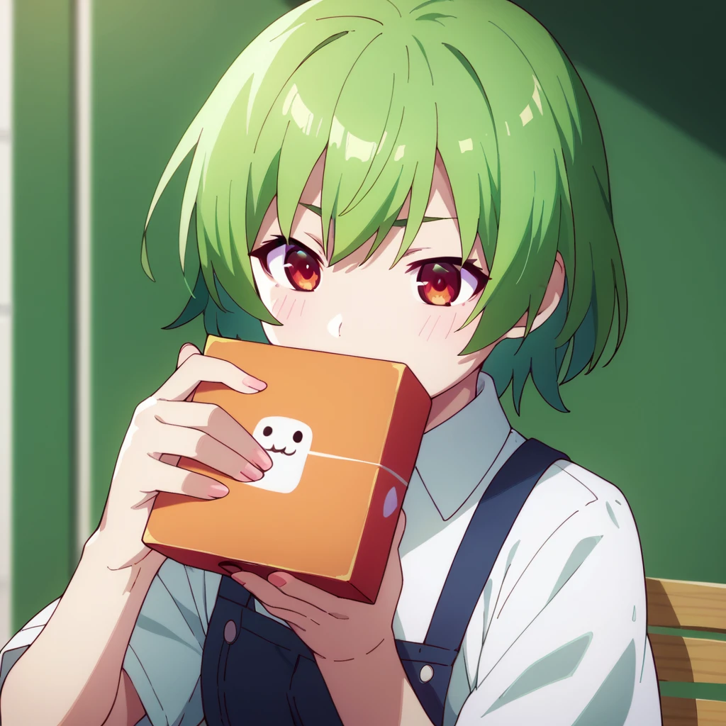 One girl,Zundamo,Voice Box ,Green Hair, 