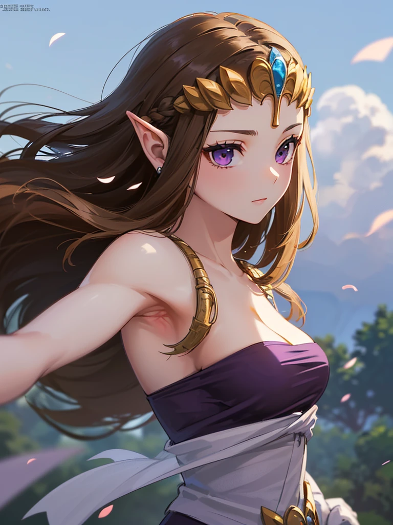 Show your armpits、Princess Zelda,masterpiece、Ultra-precision、And soul、solo、Displeased expression、Twilight Princess、Absolute reference to the center、Face in detail、Half naked、Dark brown hair、More adult、More exposure、
