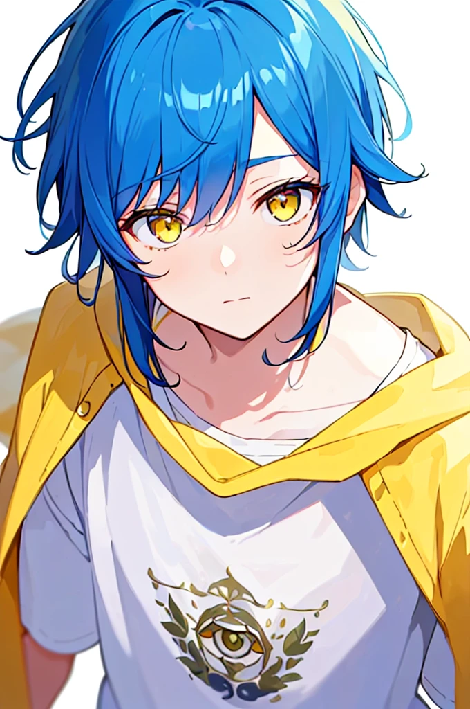 [(WHITE BACKGROUND:1.5),::5], (((masterpiece))), high quality, very_high_resolution, large_filesize, upper body, full color, ((Solo)), ((little boy)), 13 old year, men's short deepblue hair, vivid color, ((yellow eye)), Summer clothes white, animestyle