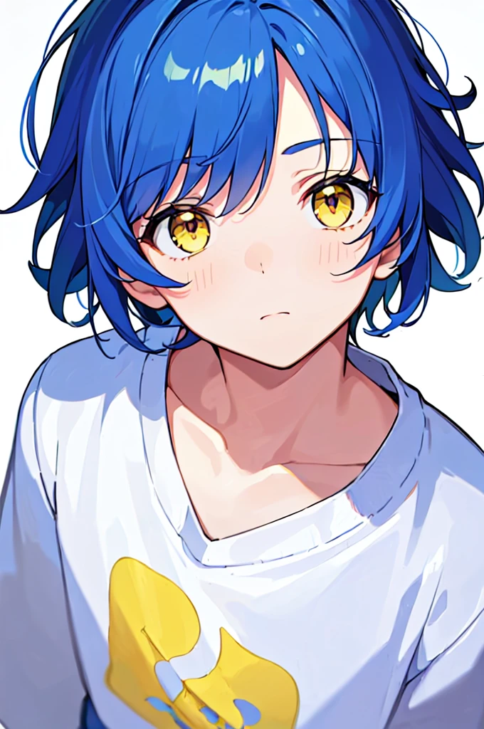 [(WHITE BACKGROUND:1.5),::5], (((masterpiece))), high quality, very_high_resolution, large_filesize, upper body, full color, ((Solo)), ((little boy)), 13 old year, men's short deepblue hair, vivid color, ((yellow eye)), Summer clothes white, animestyle