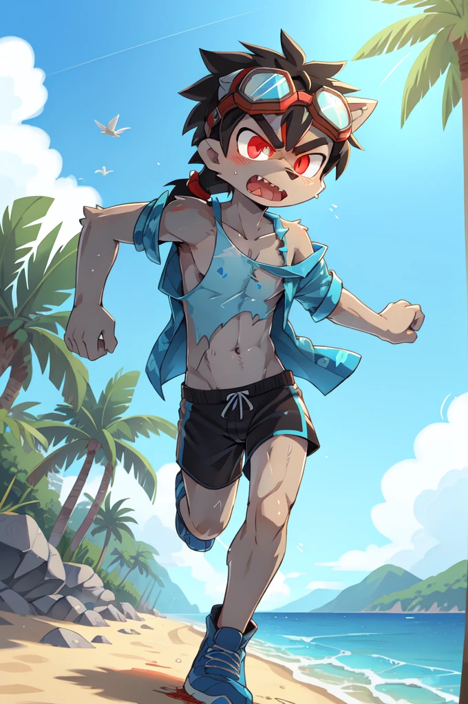Furry shota, wolf, black hair, long spiky ponytail, blue eyes, detailed body fur, ((goggles, blue hawaiian shirt, open clothes, one shoulder off, black swim trunks)), looking at another, fangs, clear grey body fur, detailed face, big eyebrows, detailed eyes, detailed body, detailed body fur, detailed hands, glistering body, shiny body, skinny, uper body, injured, dirty, torn hawaiian shirt, solo, beach, angry, score_9,score_8_up,score_7_up, source_cartoon, source_furry, running towards viewer, angry expression, glowing red eyes, from above, dynamic action shot, speed lines, motion blur, Birds Eye view, fight,