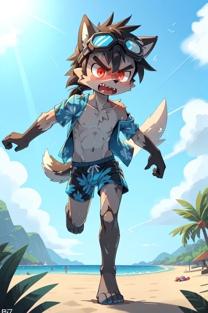 Furry shota, wolf, black hair, long spiky ponytail, blue eyes, detailed body fur, ((goggles, blue hawaiian shirt, open clothes, one shoulder off, black swim trunks)), looking at another, fangs, clear grey body fur, detailed face, big eyebrows, detailed eyes, detailed body, detailed body fur, detailed hands, glistering body, shiny body, skinny, uper body, injured, dirty, torn hawaiian shirt, solo, beach, angry, score_9,score_8_up,score_7_up, source_cartoon, source_furry, running towards viewer, angry expression, glowing red eyes, from above, dynamic action shot, speed lines, motion blur, Birds Eye view, fight,