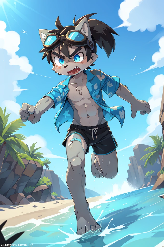 Furry shota, wolf, black hair, long spiky ponytail, blue eyes, detailed body fur, ((goggles, blue hawaiian shirt, open clothes, one shoulder off, black swim trunks)), looking at another, fangs, clear grey body fur, detailed face, big eyebrows, detailed eyes, detailed body, detailed body fur, detailed hands, glistering body, shiny body, skinny, injured, dirty, torn hawaiian shirt, solo, beach, angry, score_9,score_8_up,score_7_up, source_cartoon, source_furry, running towards viewer, angry expression, glowing blue eyes, from above, dynamic action shot, speed lines, motion blur, Birds Eye view, fight,