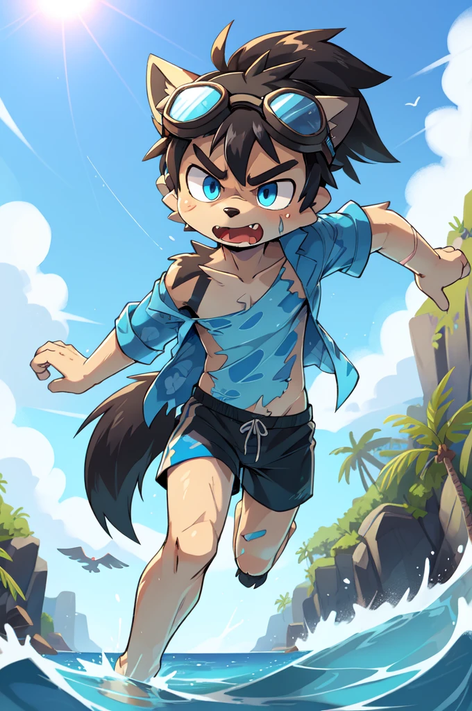 Furry shota, wolf, black hair, long spiky ponytail, blue eyes, detailed body fur, ((goggles, blue hawaiian shirt, open clothes, one shoulder off, black swim trunks)), looking at another, fangs, clear grey body fur, detailed face, big eyebrows, detailed eyes, detailed body, detailed body fur, detailed hands, glistering body, shiny body, skinny, injured, dirty, torn hawaiian shirt, solo, beach, angry, score_9,score_8_up,score_7_up, source_cartoon, source_furry, running towards viewer, angry expression, glowing blue eyes, from above, dynamic action shot, speed lines, motion blur, Birds Eye view, fight,