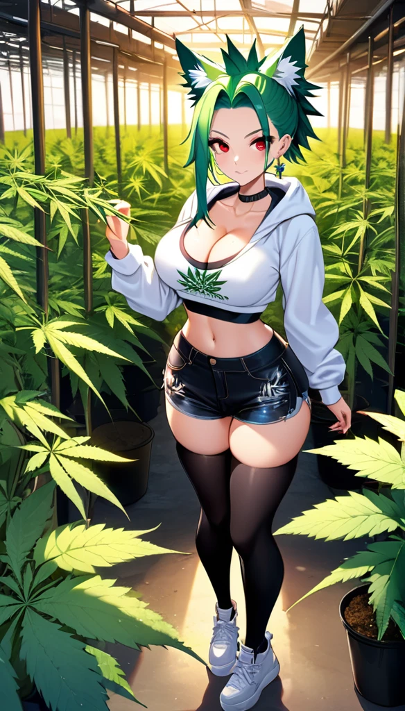   , Croped, , cleavage, slim waist, cropped hoodie underboob, cropped hoodieunderboobhoodie, 1girl, 2 wolf ears, wolf tail, marijuana crop hoodie, crop shorts, marijuana hoodie, spiky hair, spiky fur, green hair, red eyes,marijuana field, tight clothes, perfect eyes, perfect hands, clear resolution, full body, cleavage skin, marijuana plants, open hoodie, marijuana scenery, black thigh high socks, full body, earrings, 1girl, skirt,  cleavage, slim waist, cleavage, slim waist, hair pulled back, 