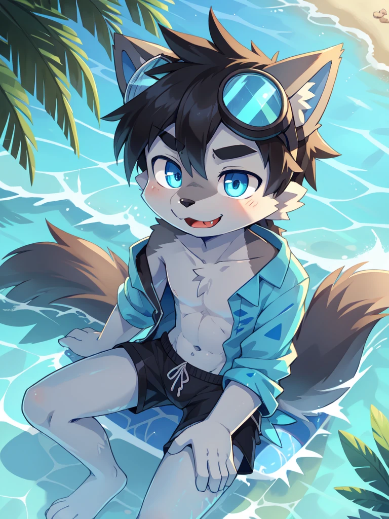 Furry shota, wolf, black hair, long spiky ponytail, blue eyes, detailed body fur, ((goggles, blue hawaiian shirt, open clothes, one shoulder off, black swim trunks)), looking at another, fangs, clear grey body fur, detailed face, big eyebrows, detailed eyes, detailed body, detailed body fur, detailed hands, glistering body, shiny body, skinny, full body, feets with three toes, 3 toes, solo, beach, score_9,score_8_up,score_7_up, source_cartoon, source_furry, sitting, :3, glowing blue eyes, from above, motion blur, Birds Eye view,
